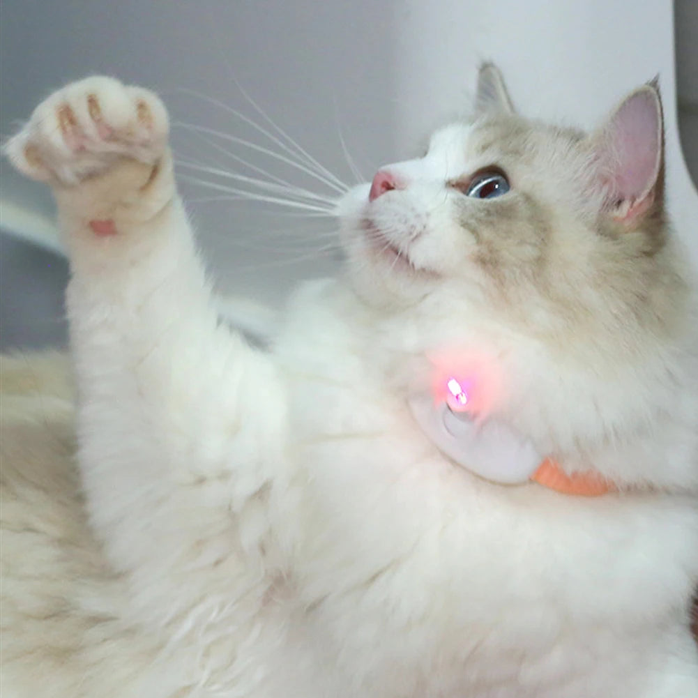 Smart Laser Tease Cat Collar Electric USB Rechargeable Pointer Kitten Automatic Toys Interactive Training Pet Accessories Goods