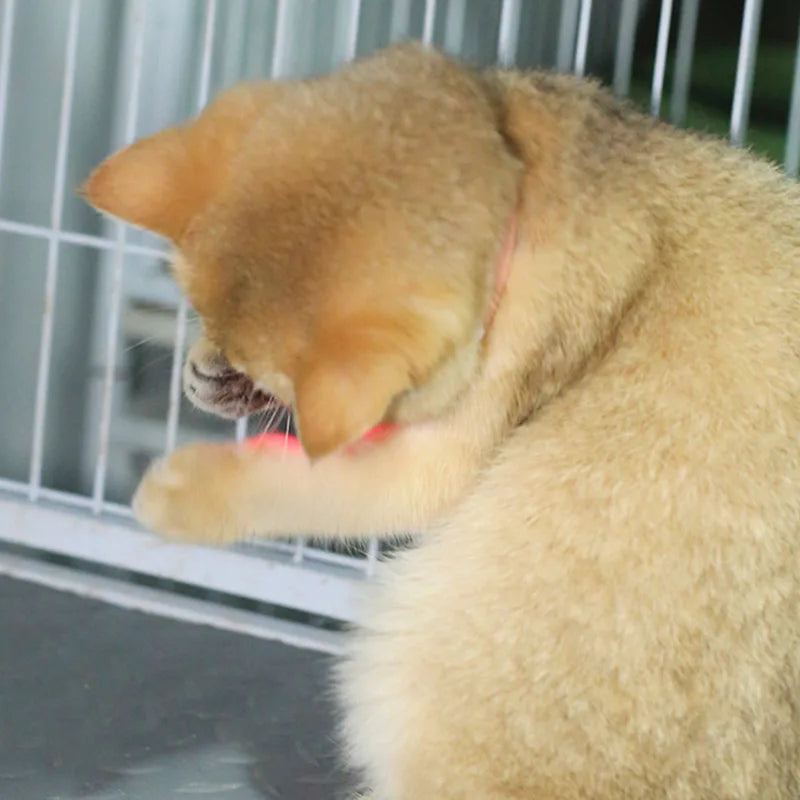 Laser Cat Collar Teasing Cat Electric USB Charging Kitten Automatic Cats Toy Smart Laser Teasing Cat Interactive Toy