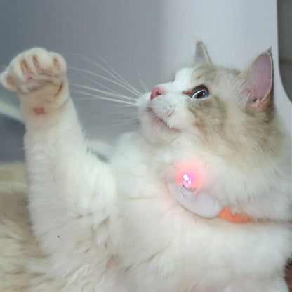 Laser Cat Collar Teasing Cat Electric USB Charging Kitten Automatic Cats Toy Smart Laser Teasing Cat Interactive Toy