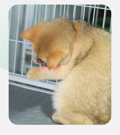 Laser Cat Collar Teasing Cat Electric USB Charging Kitten Automatic Cats Toy Smart Laser Teasing Cat Interactive Toy hi cat toy